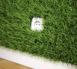An electrical socket on a grass covered wall