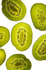 Fototapeta premium Kiwi