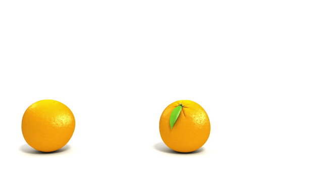 Oranges on white background. HD.