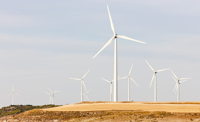 wind turbines, Castile and Leon, Spain