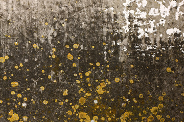 dirty gray and yellow wall with spurs