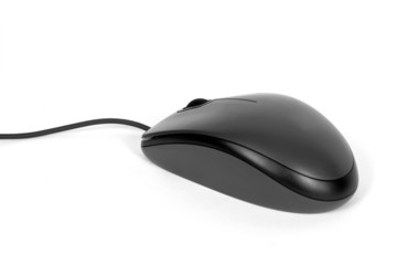 black computer mouse isolated on a white background