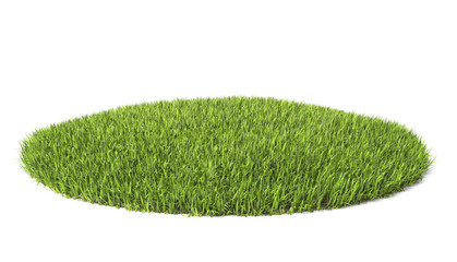 fresh grass on white background