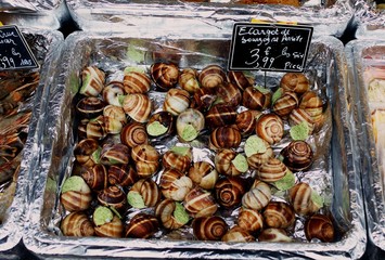 Escargot