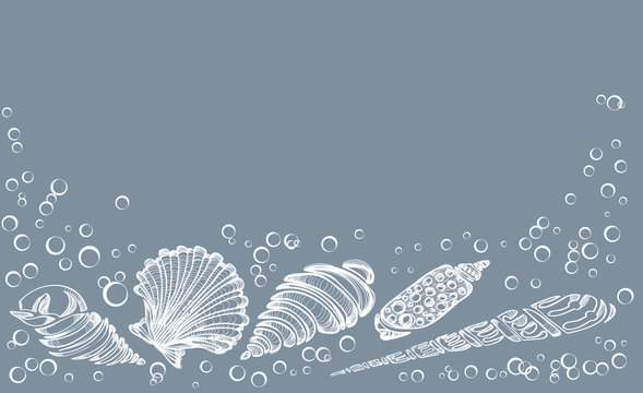 Hand Drawn background with see shell