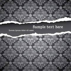 luxury ripped background