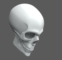 a skull with simple texture