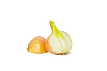 Лук
