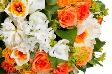 flowers isolated on white background