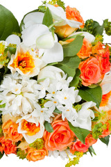flowers isolated on white background