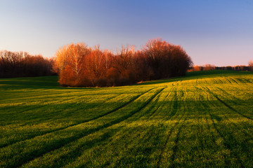 Fields with beautiful light