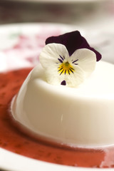 Fototapeta na wymiar Vanilla panna cotta with berry sauce and spring flower