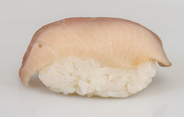 closeup of a young yellow-tail sushi