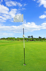 Obraz premium Hole in golf course