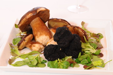 Funghi porcini e tartufo