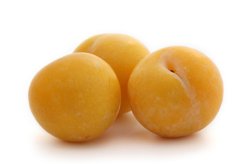 Prunes
