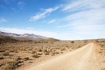 Fotobehang Dirt road in arid region leading away from viewer © Andre van der Veen