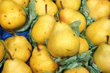 Heaps of yellow pears
