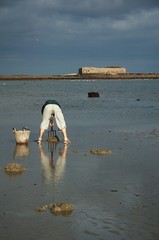 Pêche à pied devant le fort carré