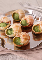 escargot