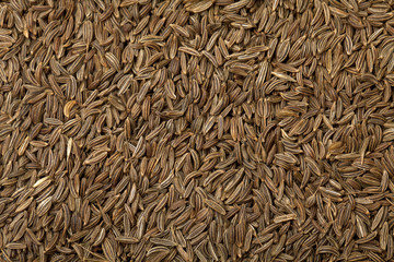 Cumin seeds