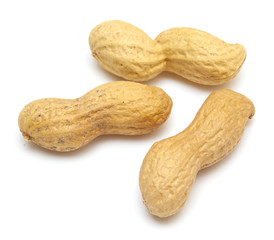 Peanuts  on a white background