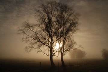 Fototapeta na wymiar Wschód słońca w mgle