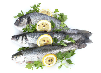 Fresh fishes with lemon, parsley and spice isolated on white