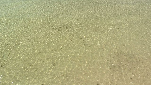 Sea wave and scool of Fish in Taketomi island,Okinawa,Japan
