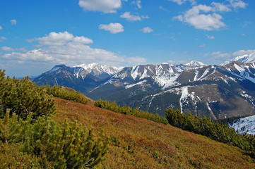 Obraz premium West Tatra Mountains in spring time