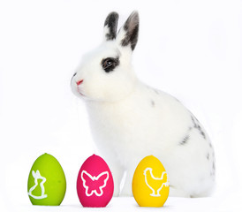 Osternhase © Natallia Vintsik