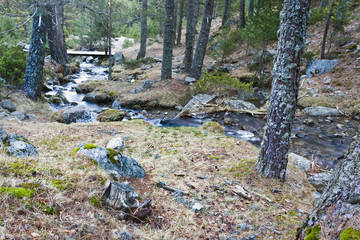 Arroyo de las Cerradillas