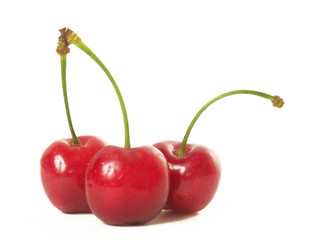 Cerezas frescas en fondo blanco.