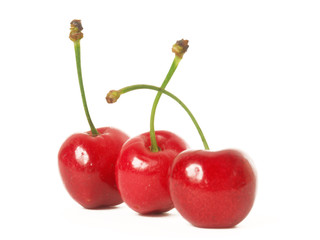 Cerezas frescas en fondo blanco.