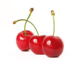 Cerezas frescas en fondo blanco.