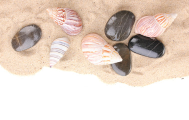 Fototapeta na wymiar Seashells and stones on sand
