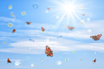Schmetterlinge, Seifenblasen & Blüten
