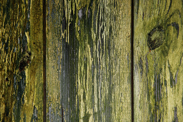 Obraz premium Wood texture with natural patterns