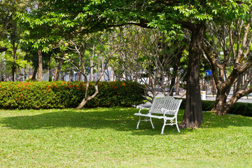 White chair in garden