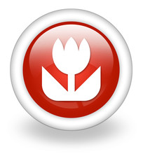 Light Red Icon 