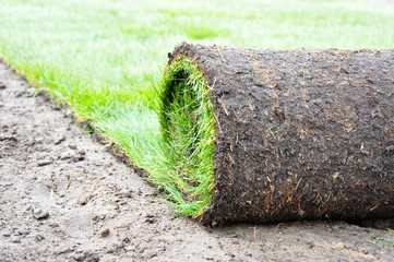 Rollrasen Gartenbau