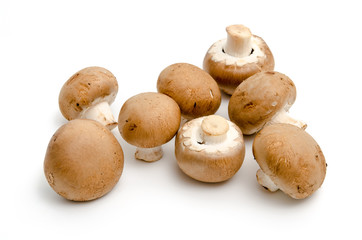 Braune Champignons