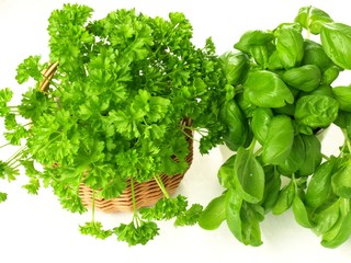 Fresh herbs, isolated