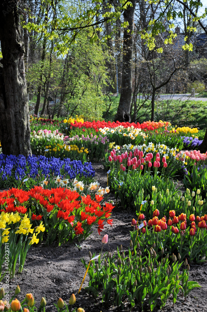 Wall mural springtime!