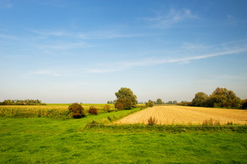 Agriculture landscape