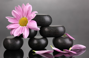 Obraz na płótnie Canvas Spa kamienie i kwiat na szarym tle