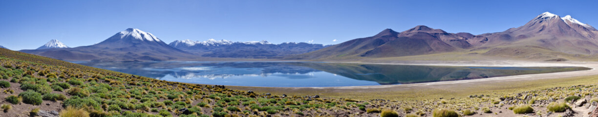 Panorama of Miscanti Lagoon in Altiplano Chile
