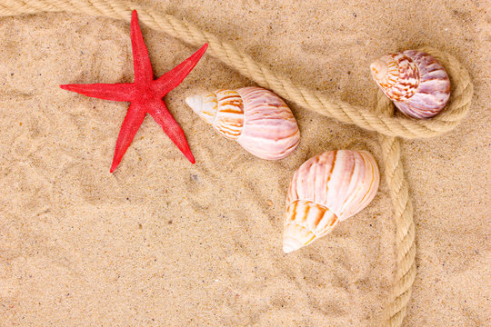 Seashells and starfish with rope  on sand