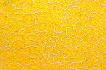 Melon Skin (peel) texture