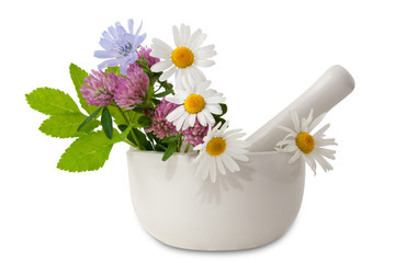 Herbal medicine (healing herbs, mortar and pestle)